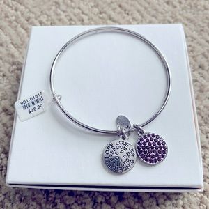 NWT Silver, purple rhinestones charm bracelet